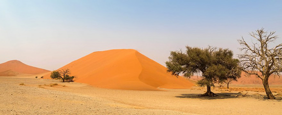 dune sable