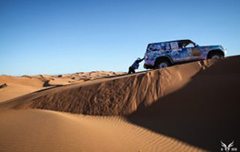 dune_small