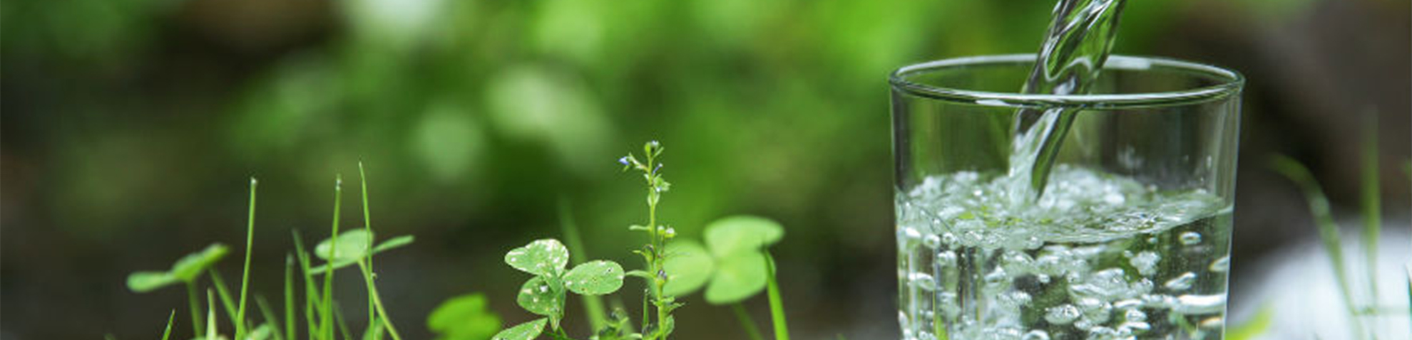 imageheader