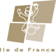 logo idf