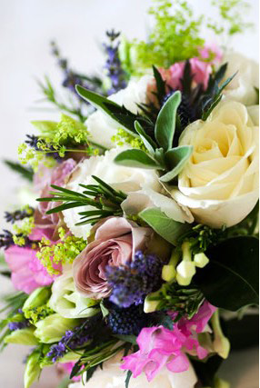 pour les fêtes