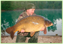 carping
