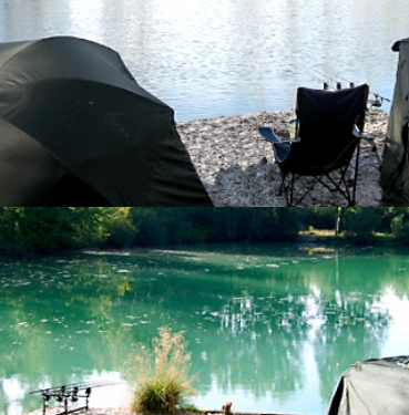 carping